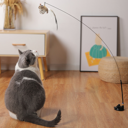 indoor cat toy wand 
