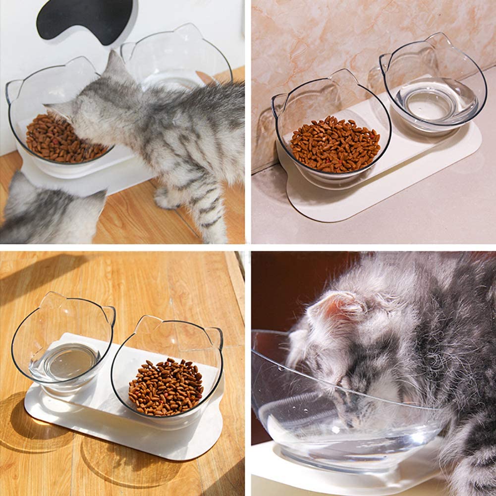 raised cat food bowls