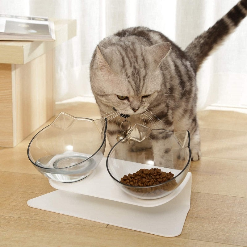 cat bowls