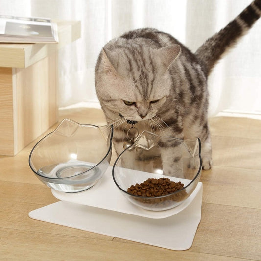 cat bowls